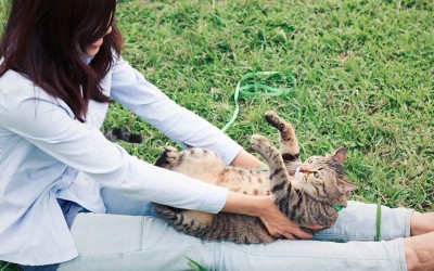 學習編曲的過程中常常遇到一些問題？－Nina 的堅持！